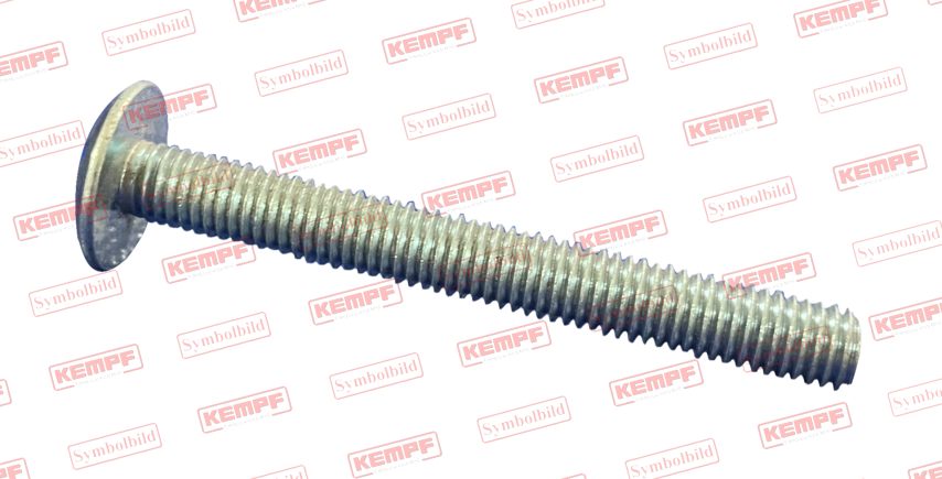 22172 KEMPF Becherschraube M6x20